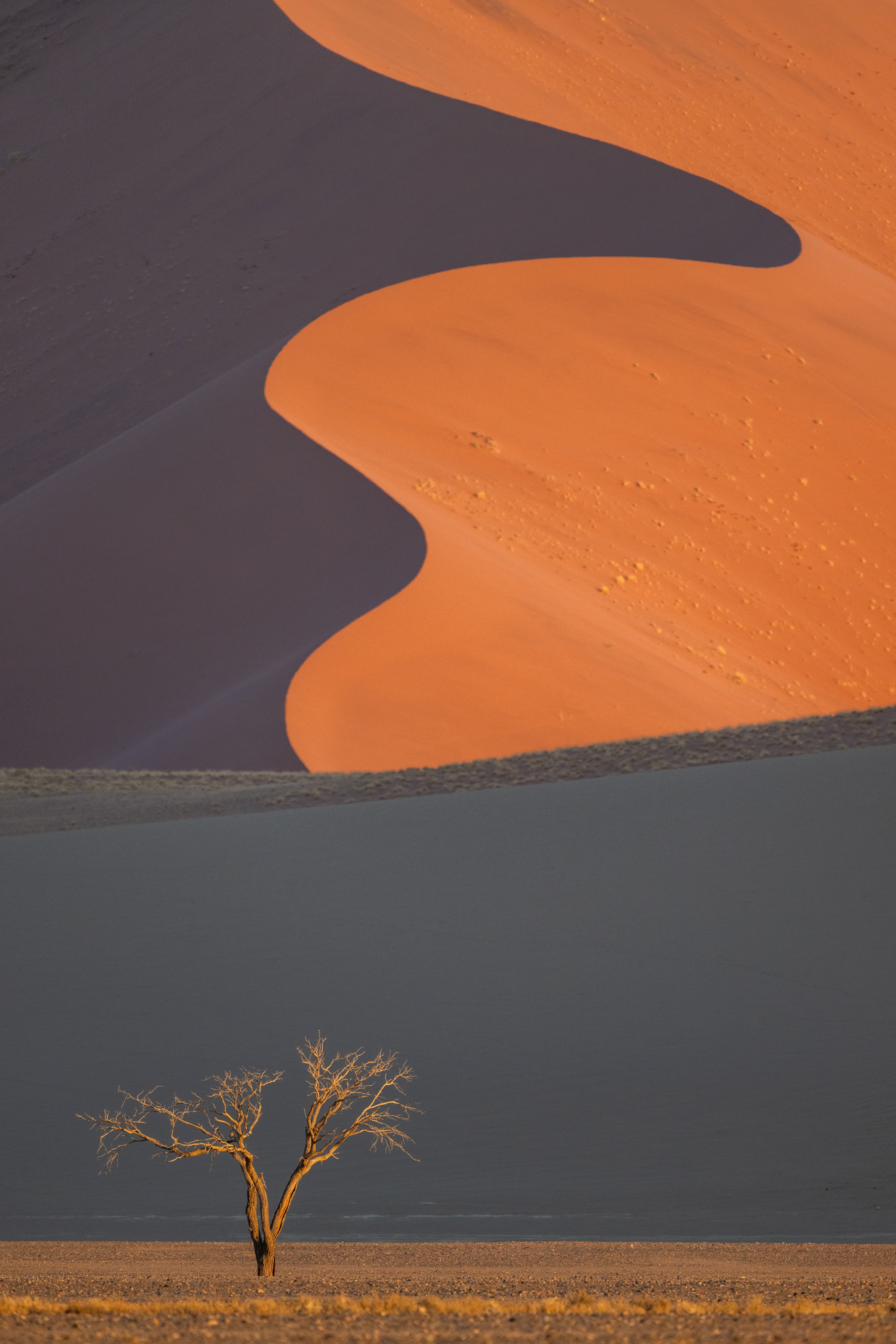 References & 360° Feedback